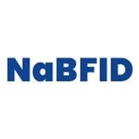 govtjobsonly.com/NaBFID Job Recruitment